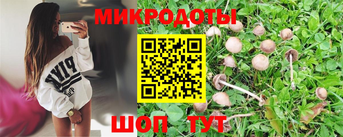 Псилоцибиновые грибы GOLDEN TEACHER  Вход с VPN  Псилоцибиновые грибы Cubensis  Донской 