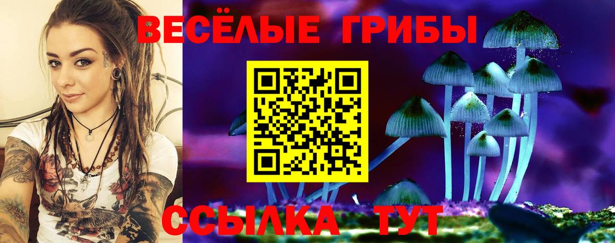 Галлюциногенные грибы Cubensis Донской